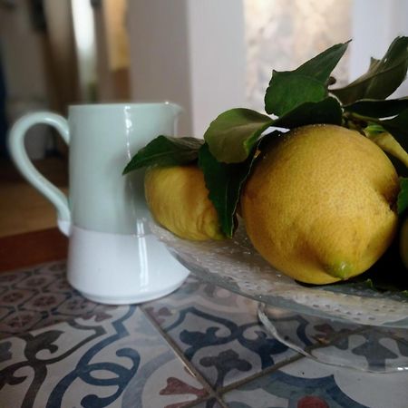 Willa Casa Carlotta Monopoli Zewnętrze zdjęcie